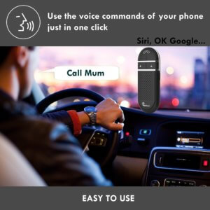 Voice command 31 Voice command 31